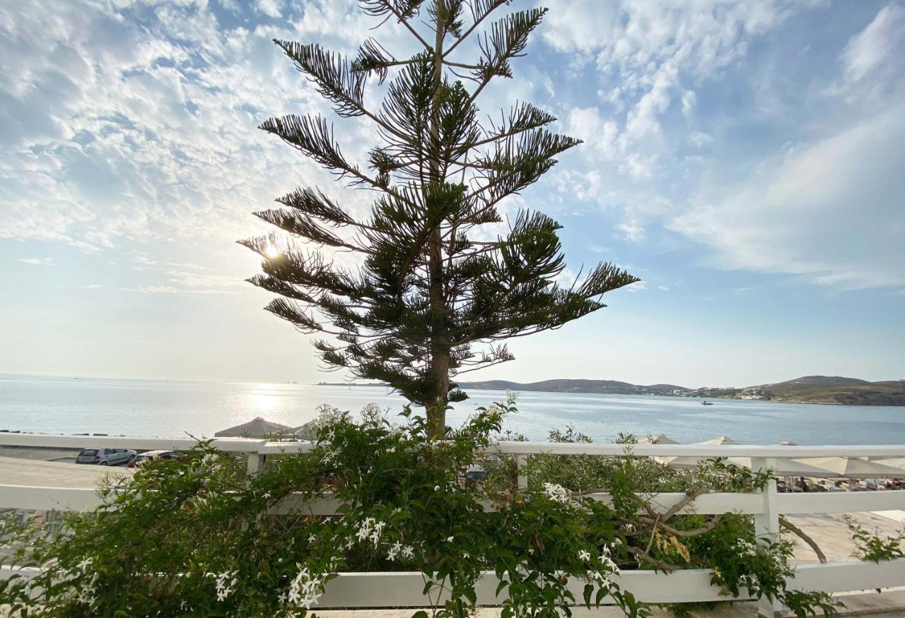 Lyra Seafront Apartment , Paroikia Town Center Dış mekan fotoğraf